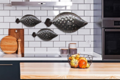IronFish_Location_1-e1559053948677