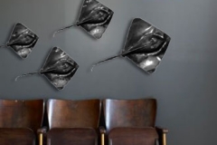 p-698-sting_ray_school