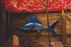 IronFish_Location_22