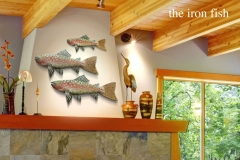 RainbowTrout_1