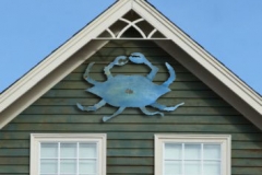 blue-crab-1